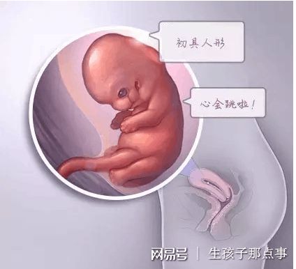 中医妇科